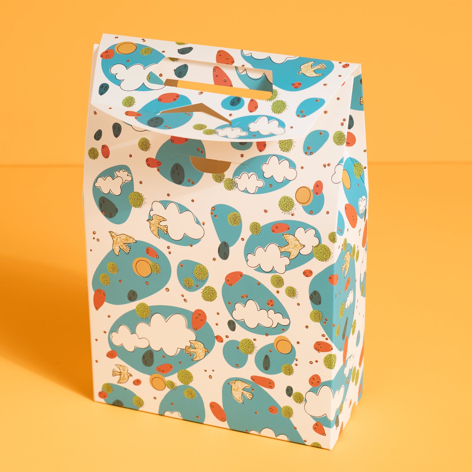 Sky Wonders Gift Bag