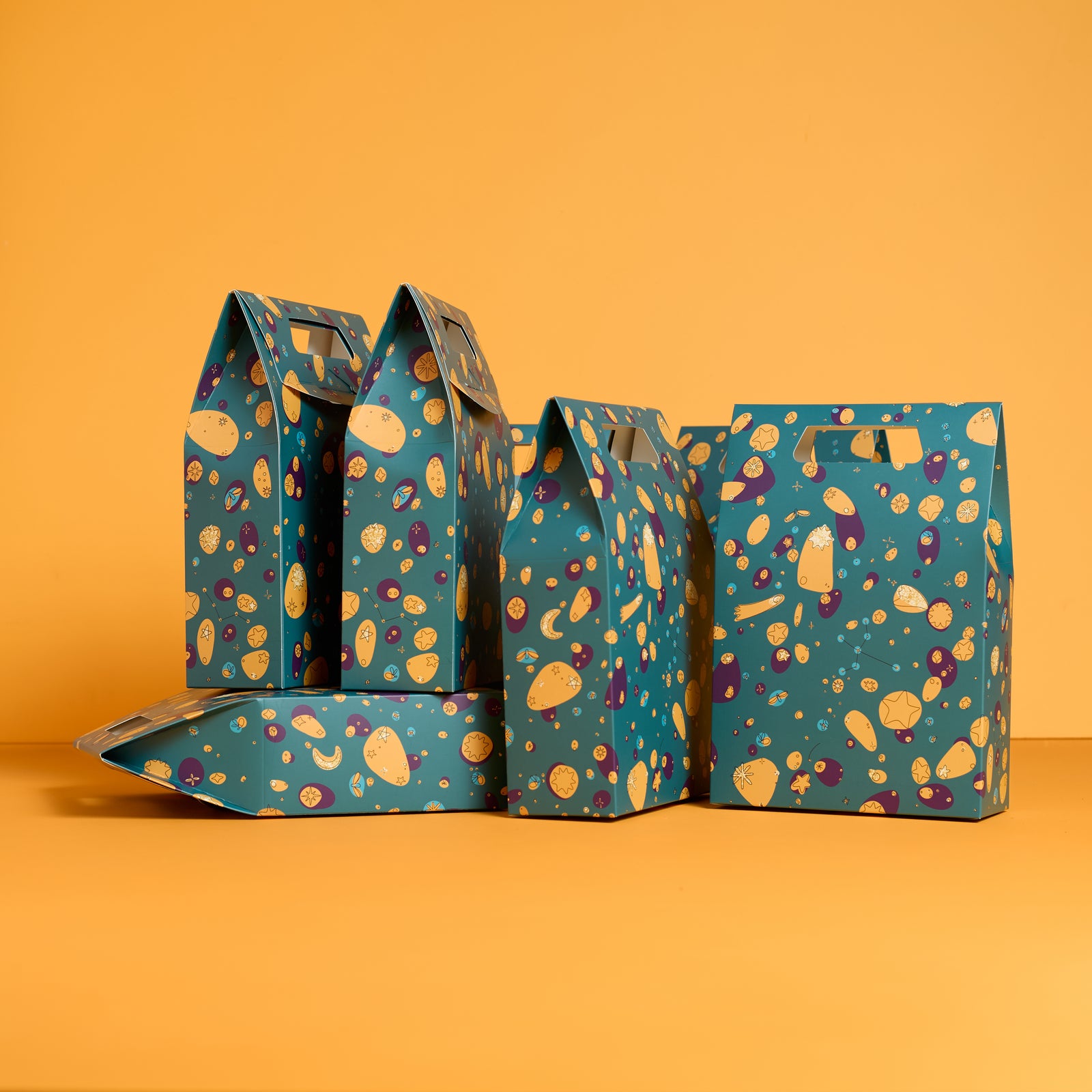 Midnight Lights Gift Bag