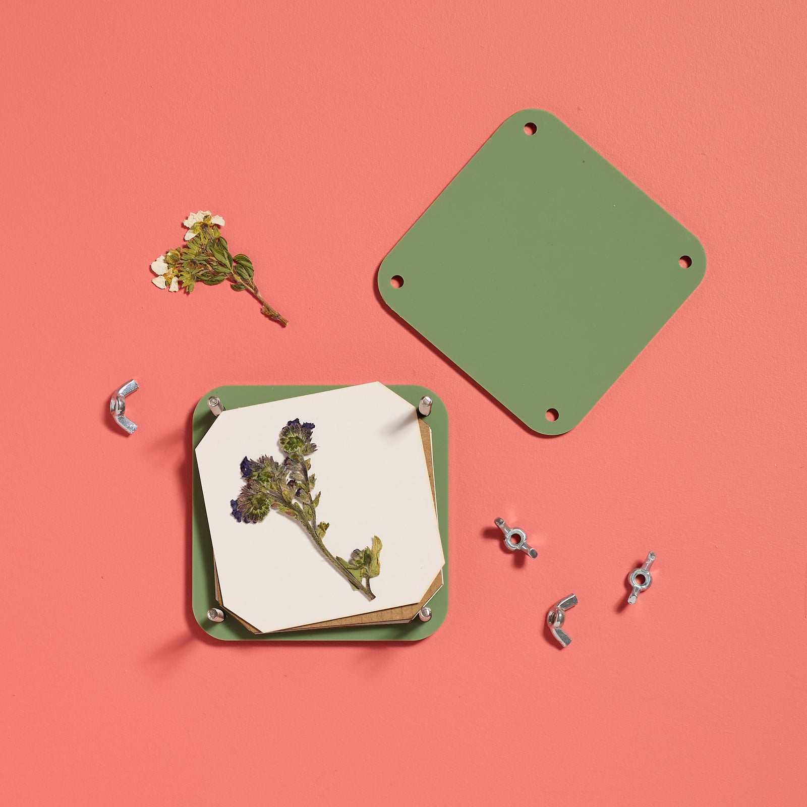 Overhead view of a finished flower press setup from the ODIDOMI kids craft kit.