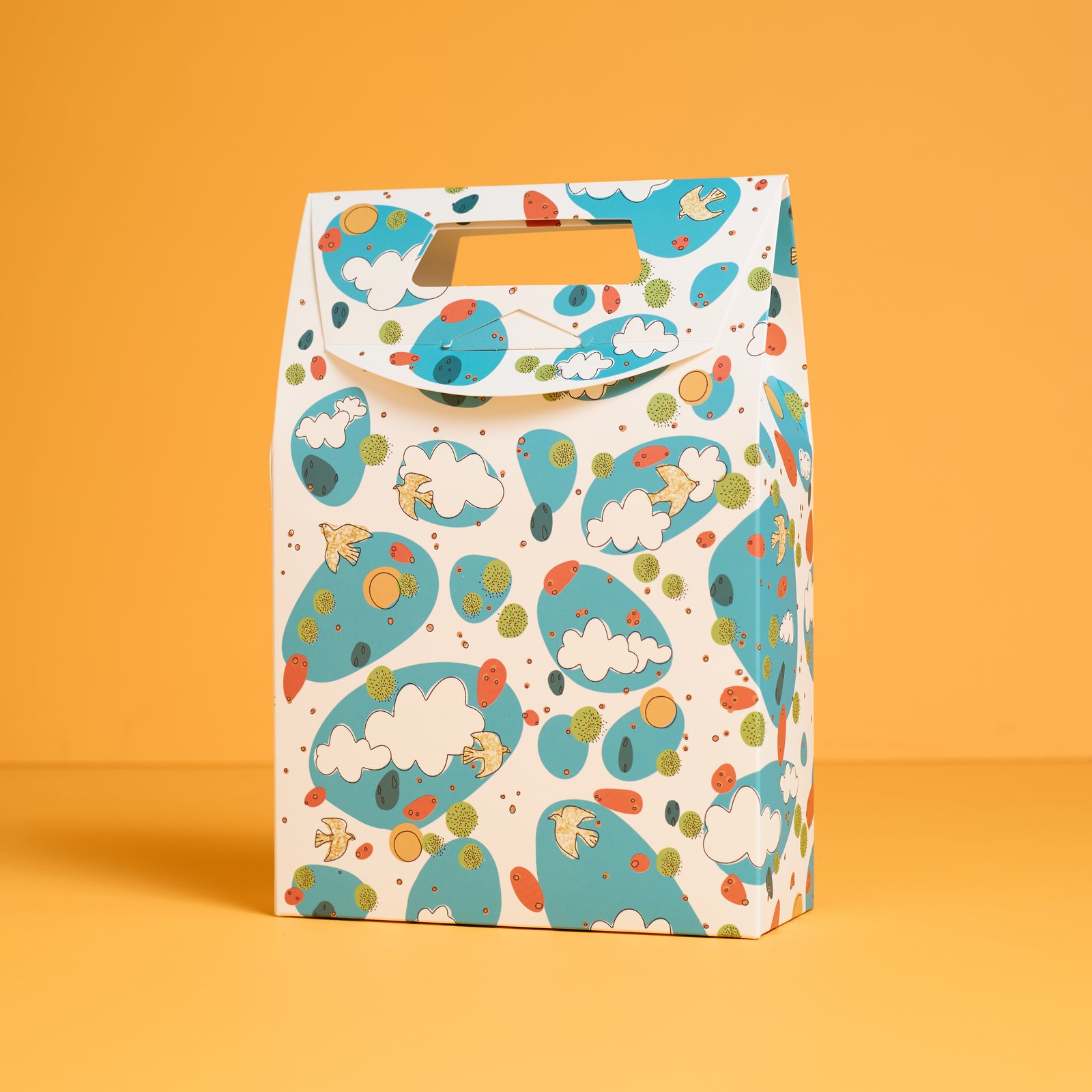 Sky Wonders Gift Bag