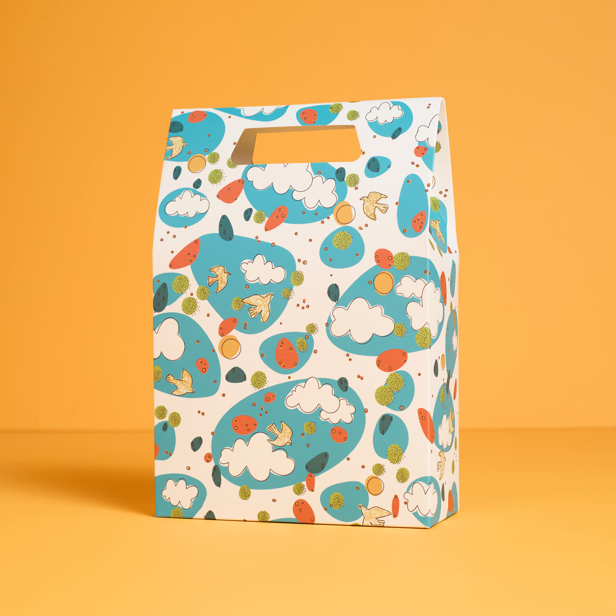 Sky Wonders Gift Bag