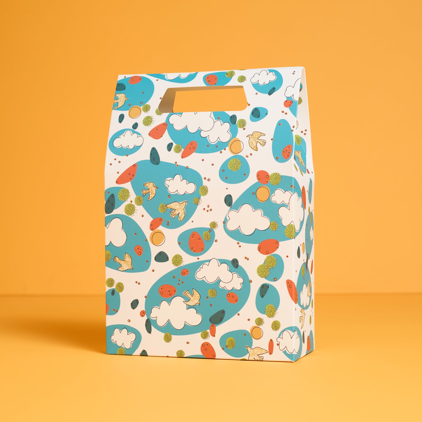 Sky Wonders Gift Bag