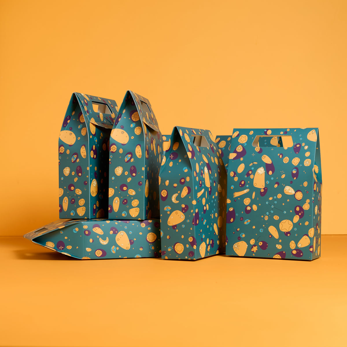 Midnight Lights Gift Bag