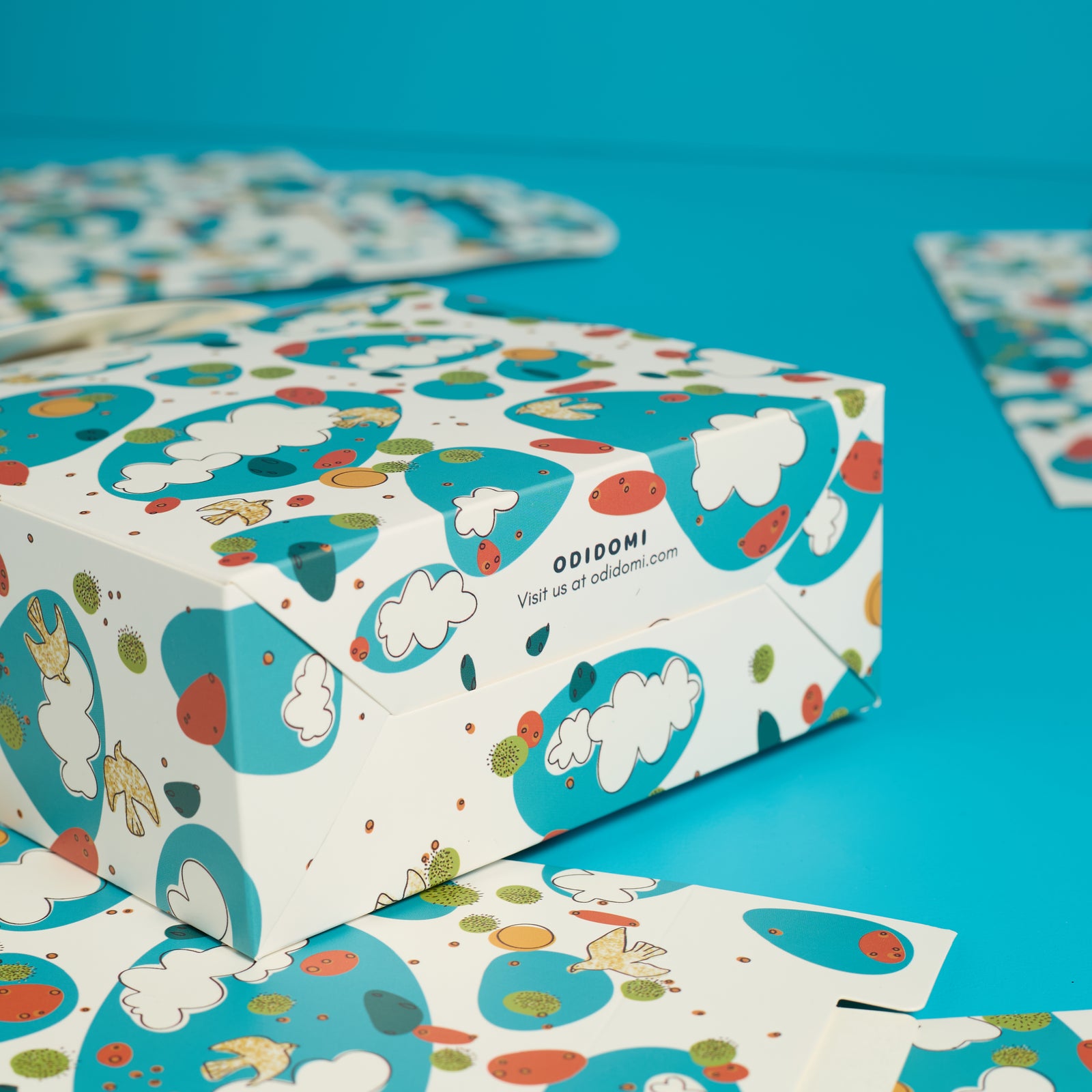 Sky Wonders Gift Bag