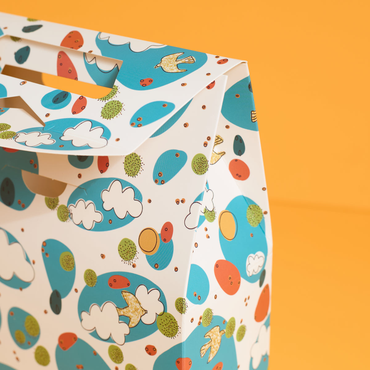 Sky Wonders Gift Bag
