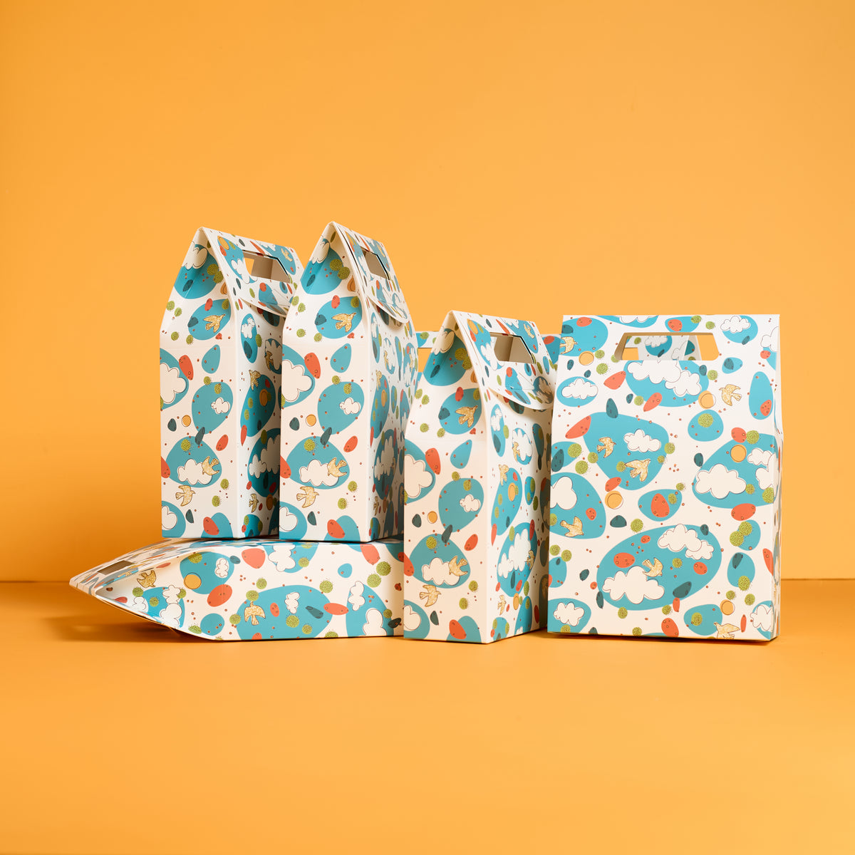 Sky Wonders Gift Bag