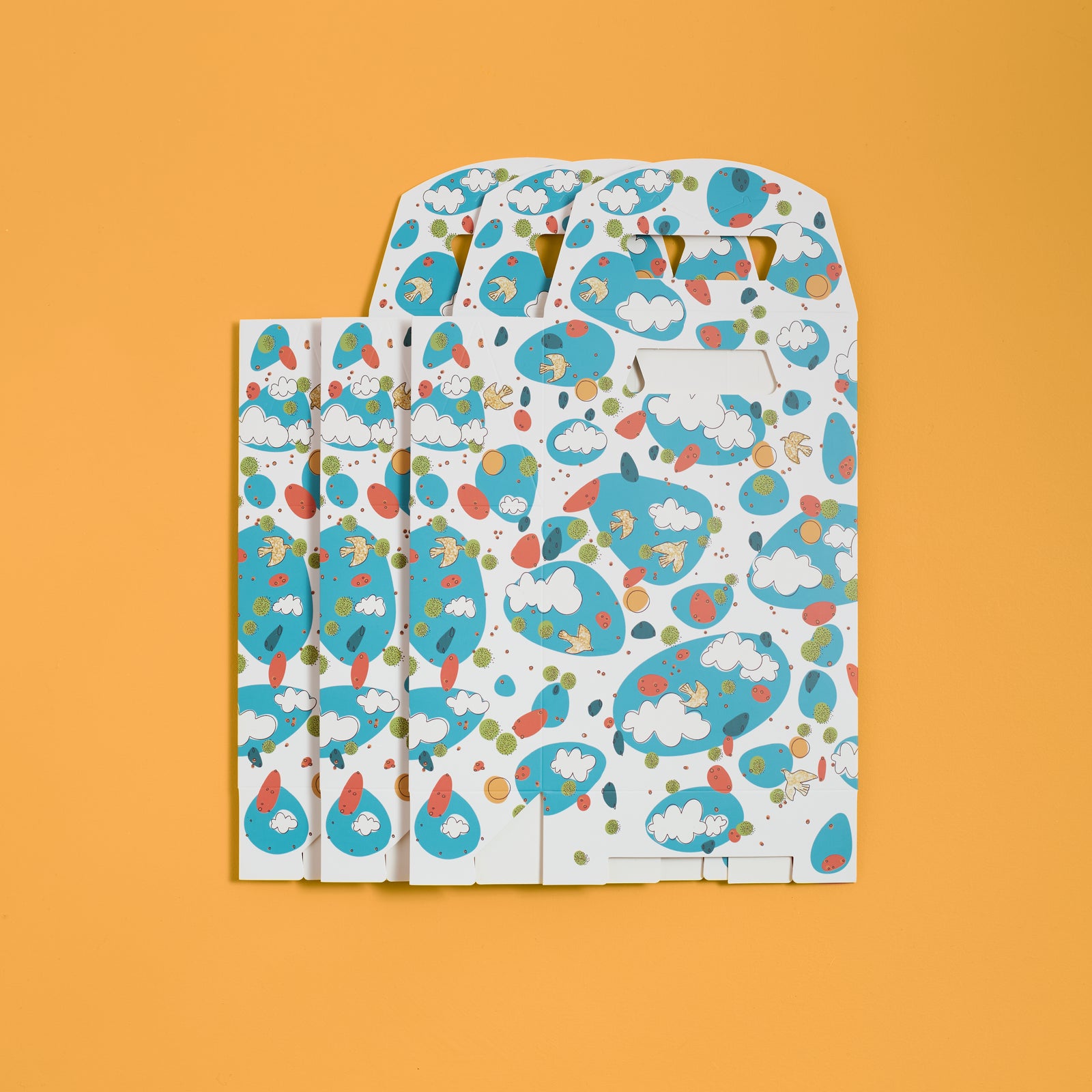 Sky Wonders Gift Bag