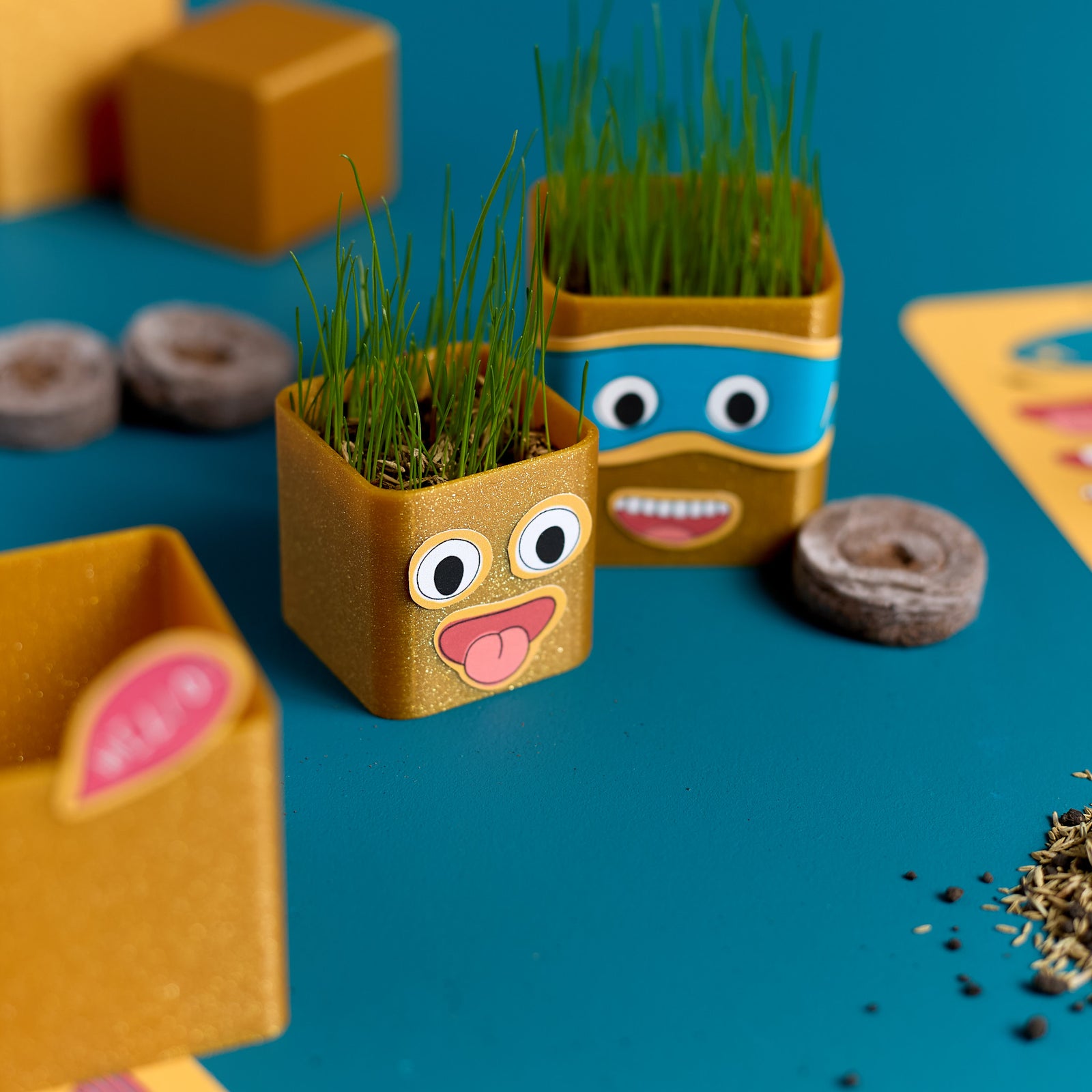 Group of finished Grass Head Buddies creations displayed in a close-up view.