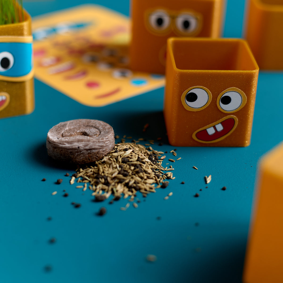 Close-up of the soil and grass seeds included in the ODIDOMI Grass Head Buddies kit.